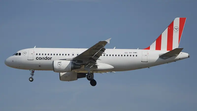 Airbus A-319, example photo from Wikimedia Commons